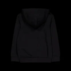 Champion Hooded Sweatshirt Black Beauty Svart