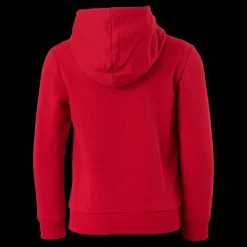 Champion Hooded Sweatshirt Haute Red Rosa