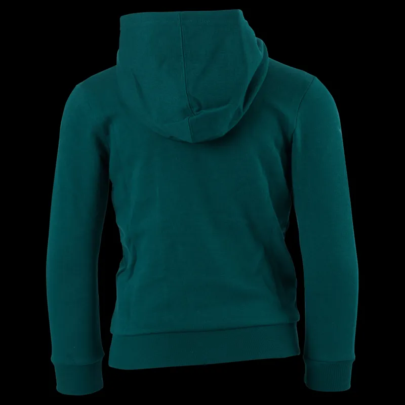 Champion Hooded Sweatshirt Rain Forest Grön Best
