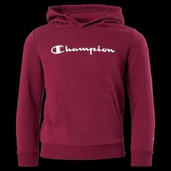 Best Champion Hooded Sweatshirt Rhododendrow Röd