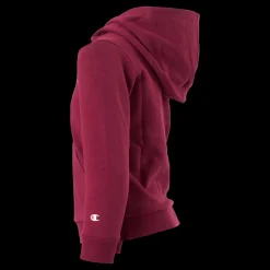 Best Champion Hooded Sweatshirt Rhododendrow Röd