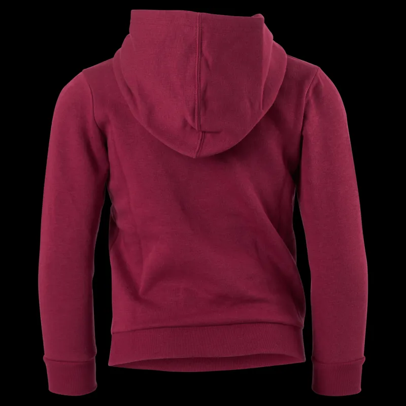Best Champion Hooded Sweatshirt Rhododendrow Röd