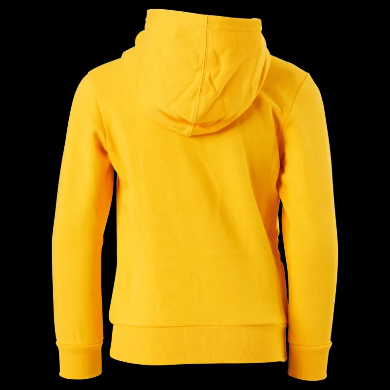 Champion Hooded Sweatshirt Saffron Gul Sale