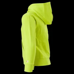 Clearance Champion Hooded Sweatshirt Sulphur Spring Grön