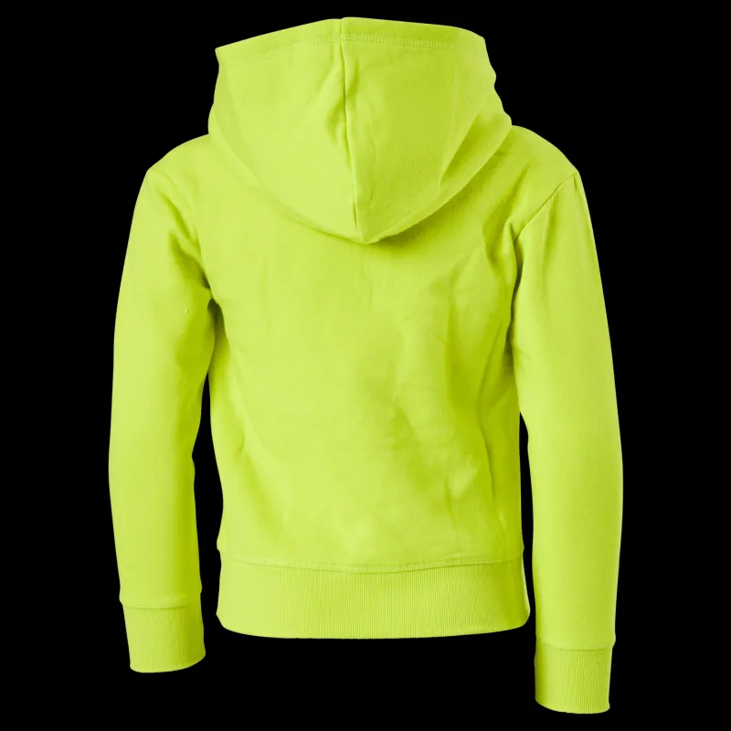 Clearance Champion Hooded Sweatshirt Sulphur Spring Grön