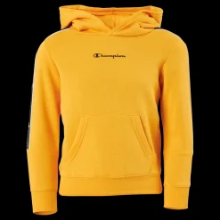 Sale Champion Hooded Sweatshirt Ys113 Gul