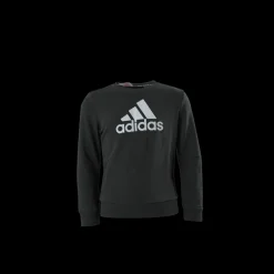 Clearance adidas Jb Mh Crew Legend Earth / Orbit Grey Lila
