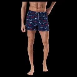Aquarapid Kawi Shorts Blue Blå