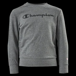 Champion Legacy Crew Junior Grey Grå Outlet