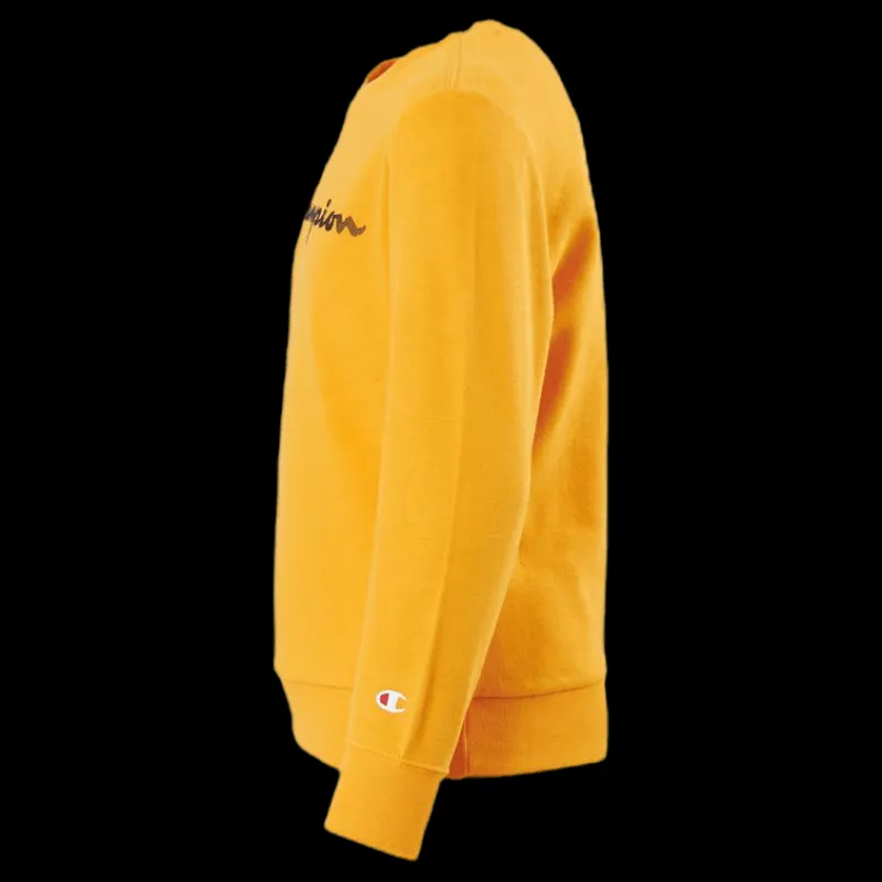 Discount Champion Legacy Crew Junior Orange