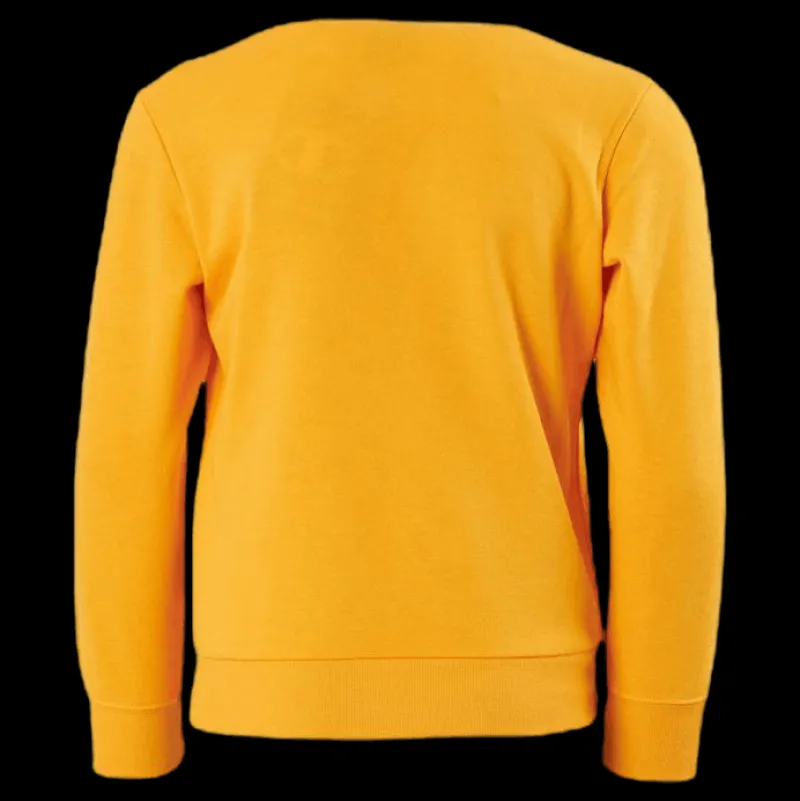 Discount Champion Legacy Crew Junior Orange