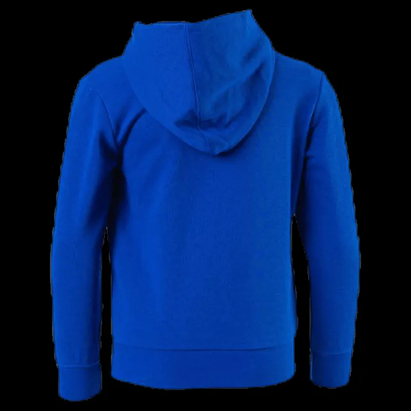 Champion Legacy Hoodie Junior Blue Blå Outlet
