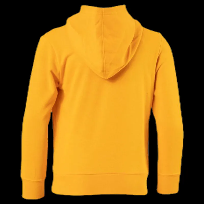 Outlet Champion Legacy Hoodie Junior Yellow Gul