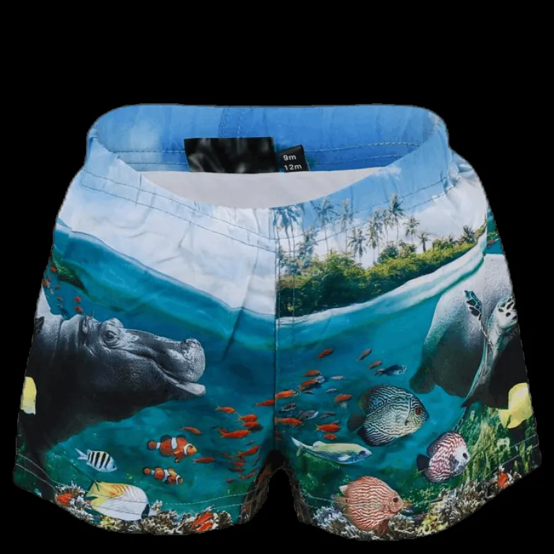 New Molo Newton Swim Diaper Blue Blå