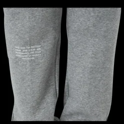 Best Nike Nsw Swoosh Pant Ft Grey Grå