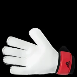 adidas Pred Gl Trn Red / Solar Red / Black Röd
