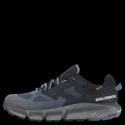 Hot Salomon Predict Hike Gtx Ebony/black/stormy Weather Svart