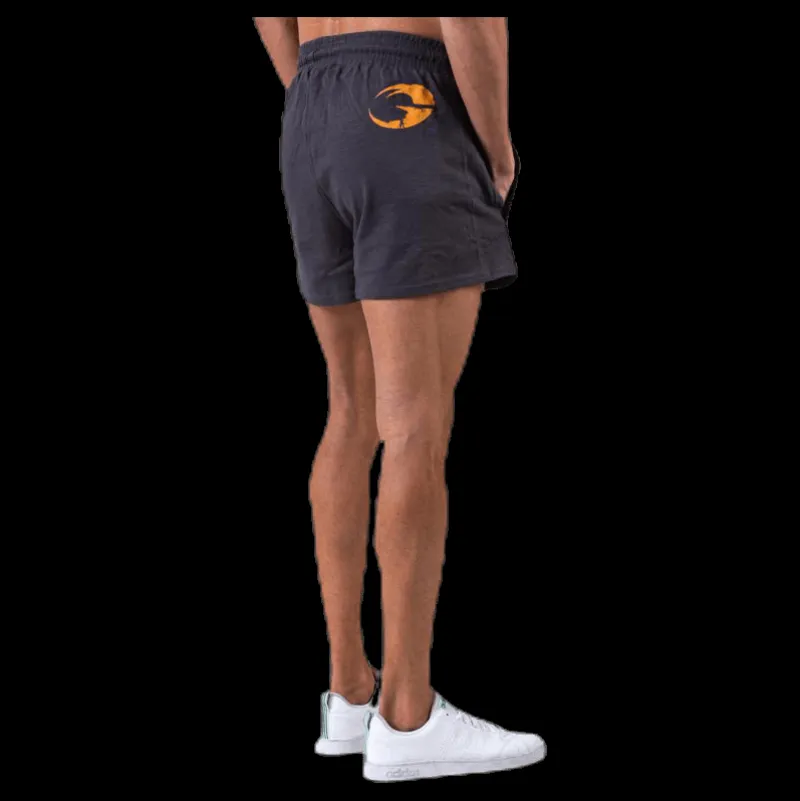 Online GASP Pro Shorts Grey Grå