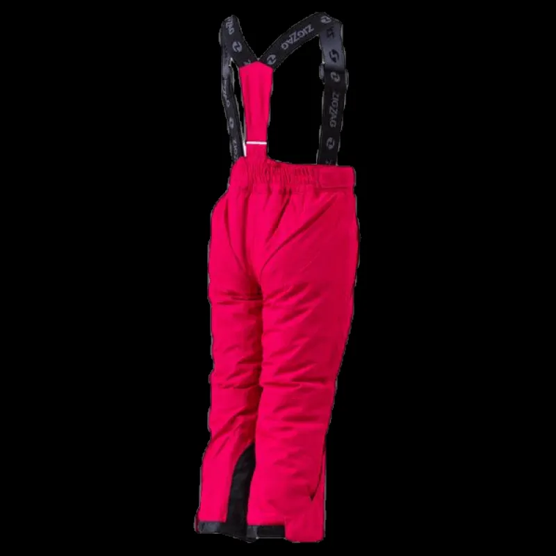 Online ZigZag Provo Ski Pants W-PRO 10.000 Purple Lila