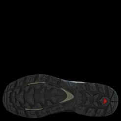Discount Salomon Quest Element Gtx W Ebony/rainy Day/stormy Weather Flerfärgad