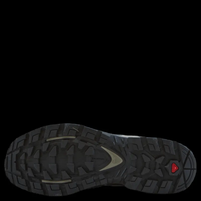 Discount Salomon Quest Element Gtx W Ebony/rainy Day/stormy Weather Flerfärgad