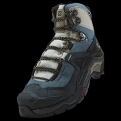 Discount Salomon Quest Element Gtx W Ebony/rainy Day/stormy Weather Flerfärgad