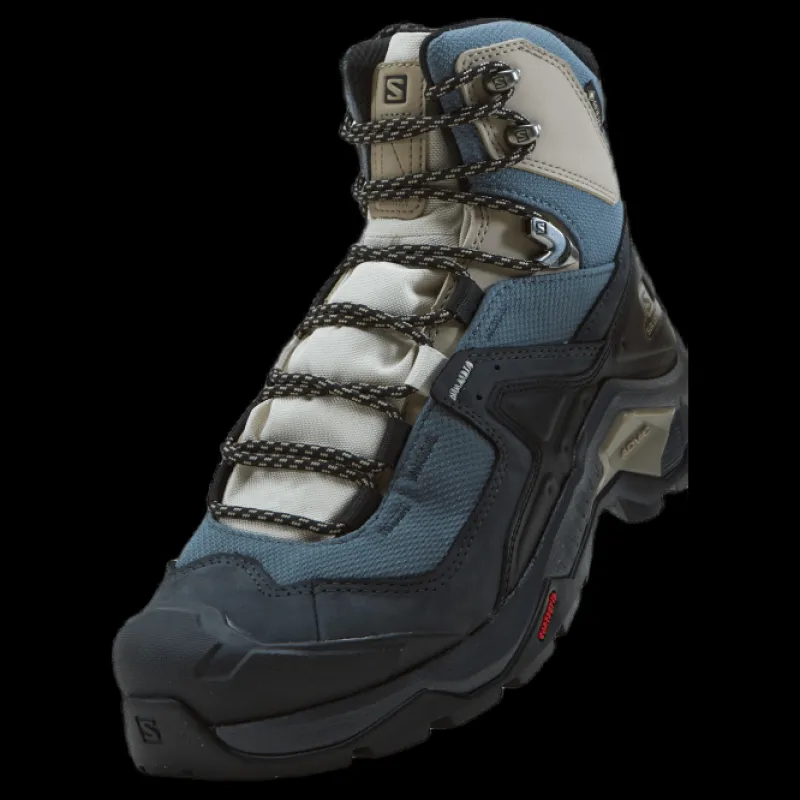 Discount Salomon Quest Element Gtx W Ebony/rainy Day/stormy Weather Flerfärgad