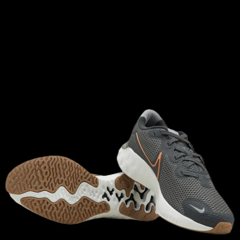 Nike Renew Run GS Big kids Black/Gold Grå Sale