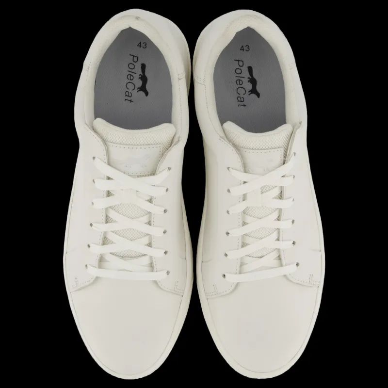 New Polecat Rex Neapel Vit