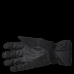 Whistler Rhett Ski Gloves Blue Blå New