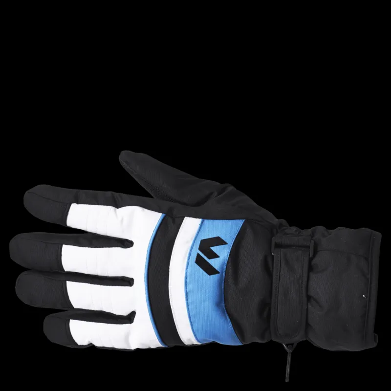 Clearance Whistler Rhett Ski Gloves Blue Blå