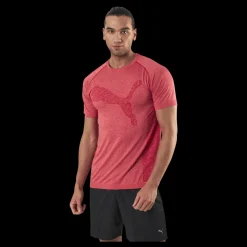 Puma RTG Evoknit Tee Red Rosa Clearance