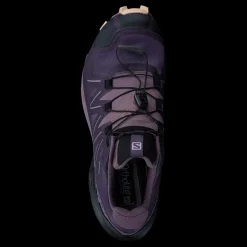Salomon Speedcross 5 Gtx W Mysterioso/quail/sirocco Blå Discount