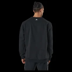 adidas Sportswear Future Icons Winterized Sweatshirt Black Svart Hot