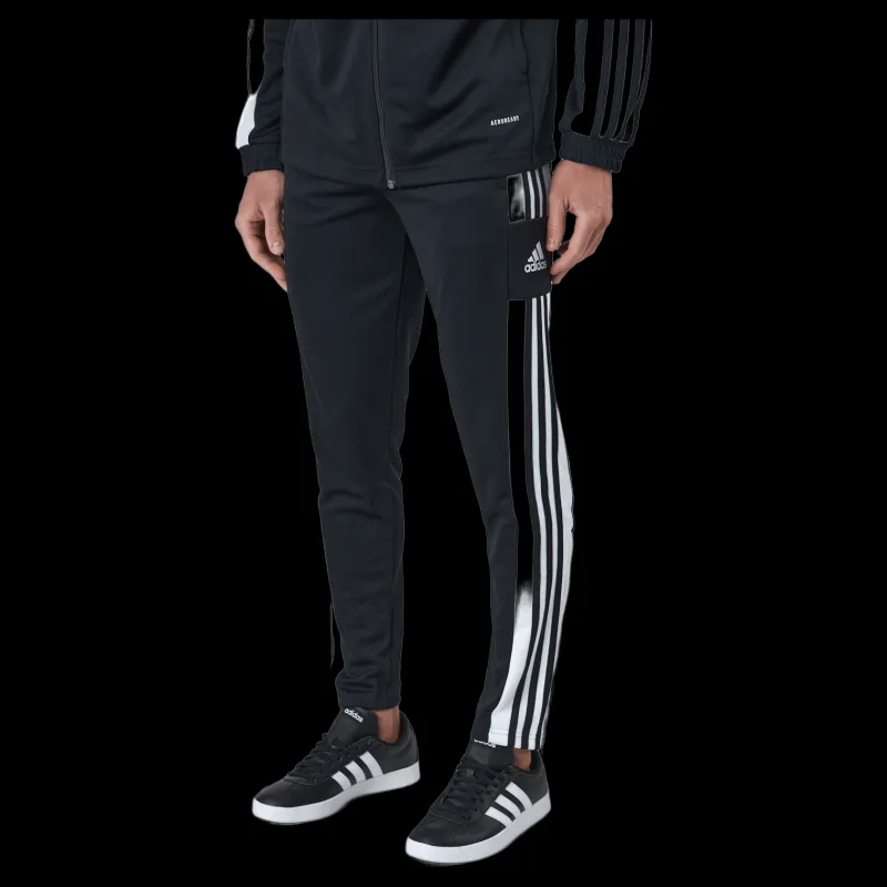 Outlet adidas Squadra 21 Training Pants Black Svart