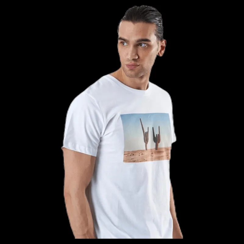 Best Dedicated Stockholm Cactus Sign White Vit