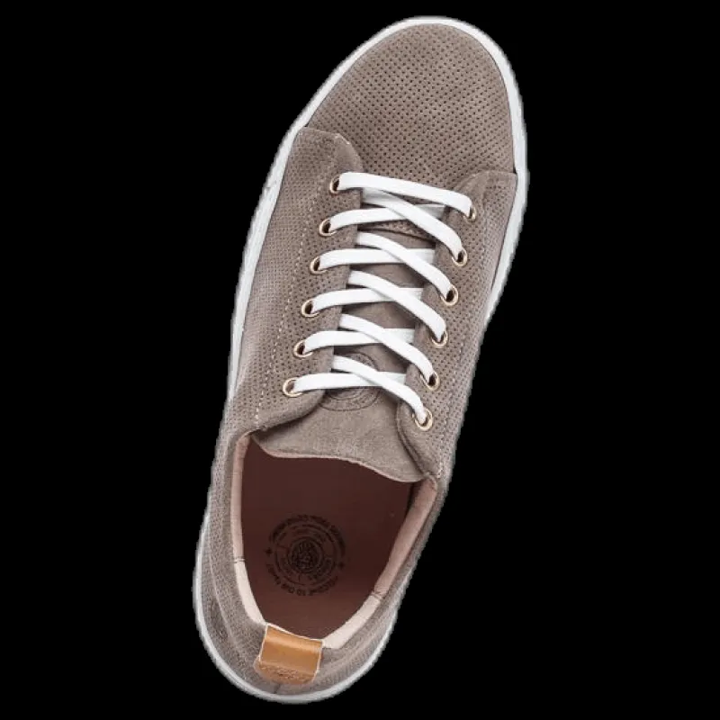 Sneaky Steve Stoked Low Suede Beige Outlet