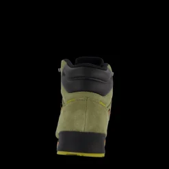 adidas Terrex Snowpitch COLD.RDY Hiking Shoes Focus Olive / Core Black / Pulse Olive Grön Online