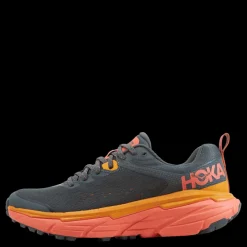 Hot Hoka W Challenger Atr 6 Castlerock / Camellia Flerfärgad