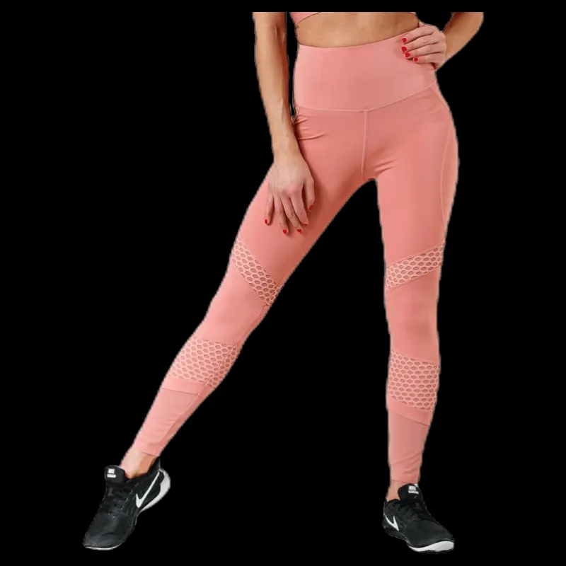 New Better Bodies Waverly Mesh Tights Pink Rosa