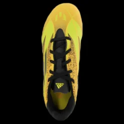 adidas X Speedflow Messi.4 Flexible Ground Boots Solar Gold / Core Black / Bright Yellow Gul