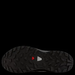 Salomon XA Elevate 2 GTX Black Svart Online