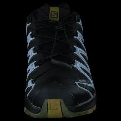 Salomon Xa Pro 3d V8 Gtx W Black/green Moss/zen Blue Svart